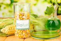 Brynsiencyn biofuel availability