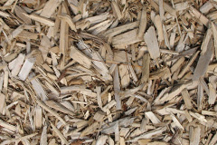 biomass boilers Brynsiencyn