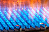 Brynsiencyn gas fired boilers